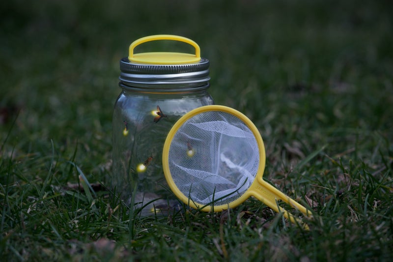 Jarware Firefly Catcher Kit for Regular Mouth Mason Jars, Yellow - Image 5